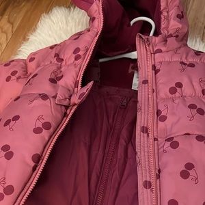 Toddler Girl Snow Suit and coat